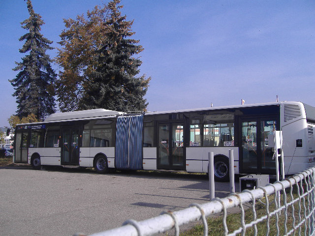 Nov autobus v Tboe